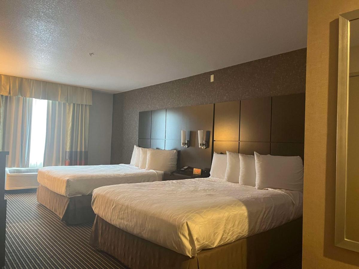 | Best Western Plus Rama Inn & Suites