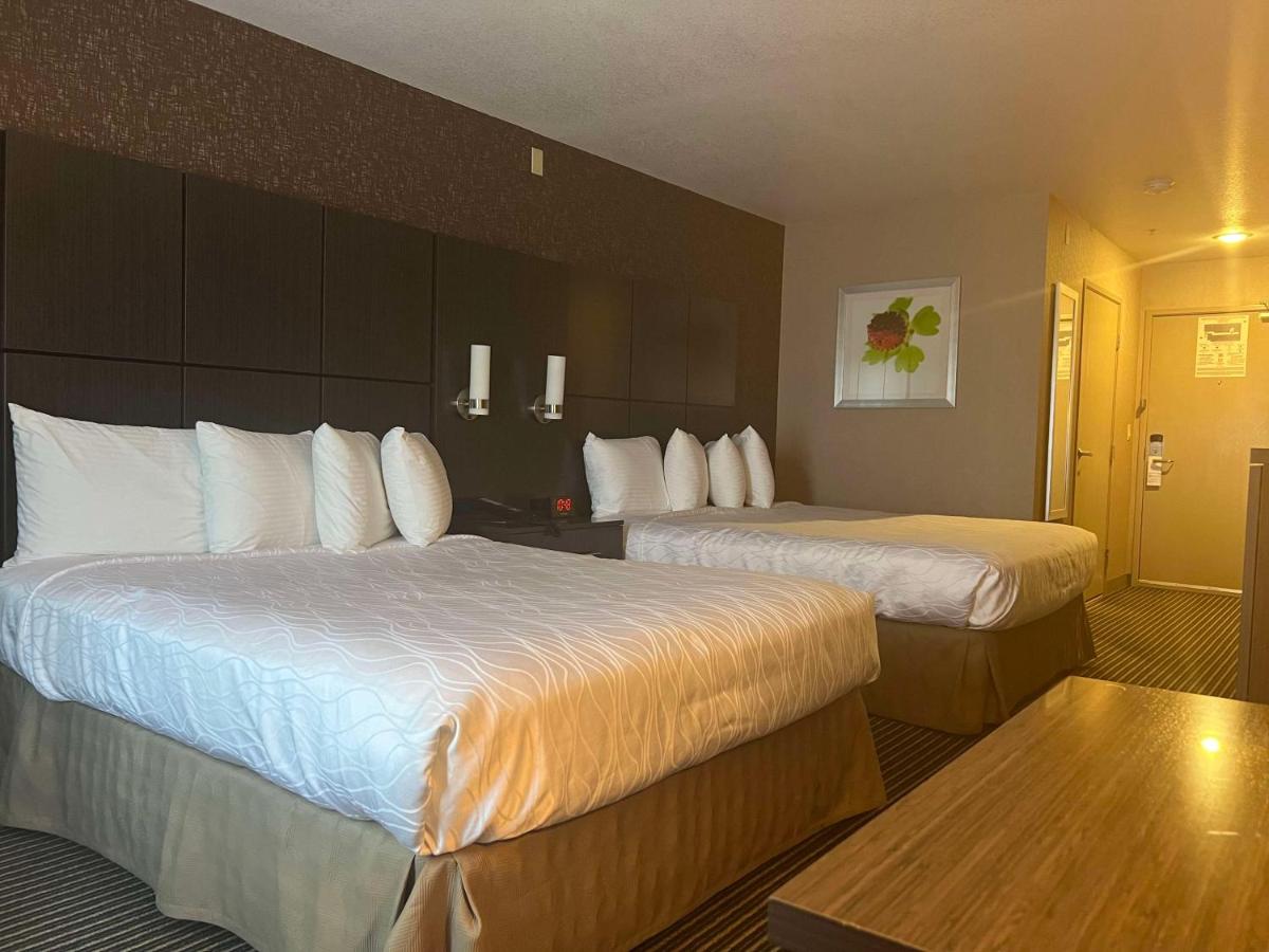 | Best Western Plus Rama Inn & Suites