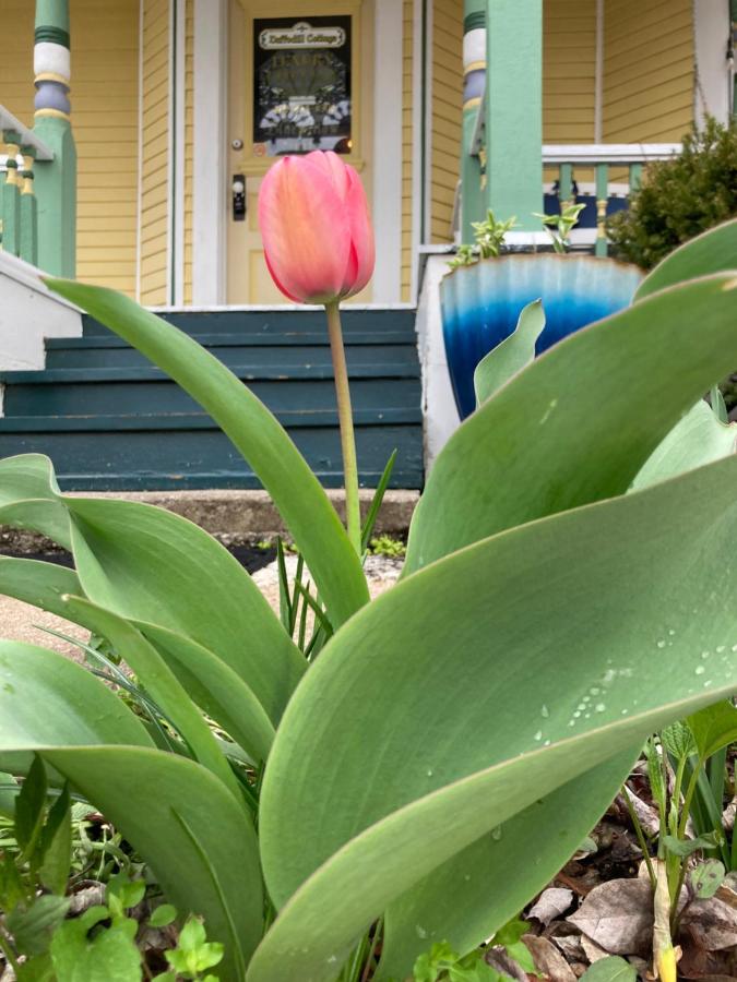 Blue Willow at Daffodil Cottage at All Seasons Inn