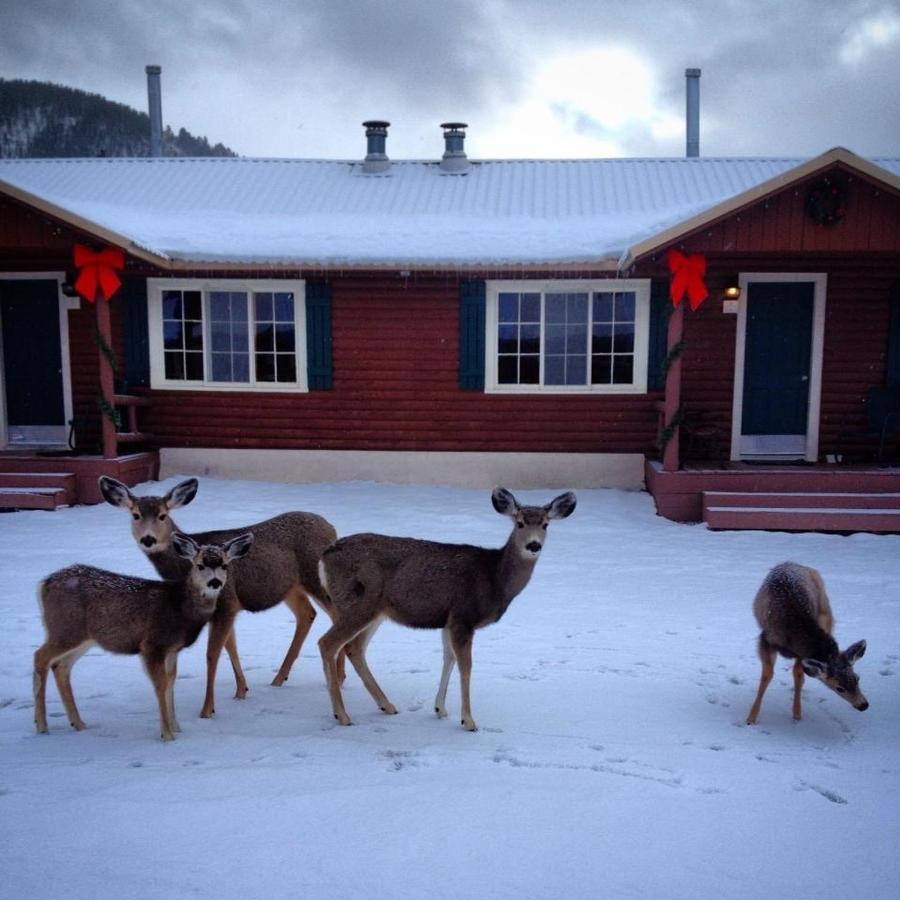 | Three Bears Lodge