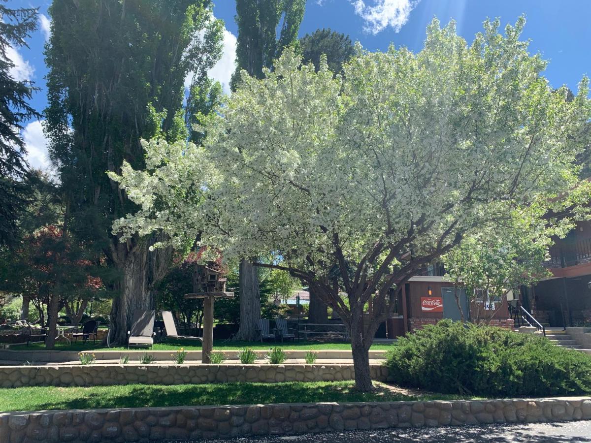 | Lake View Lodge