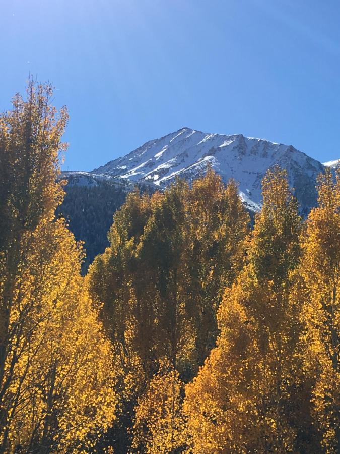 | Lake View Lodge
