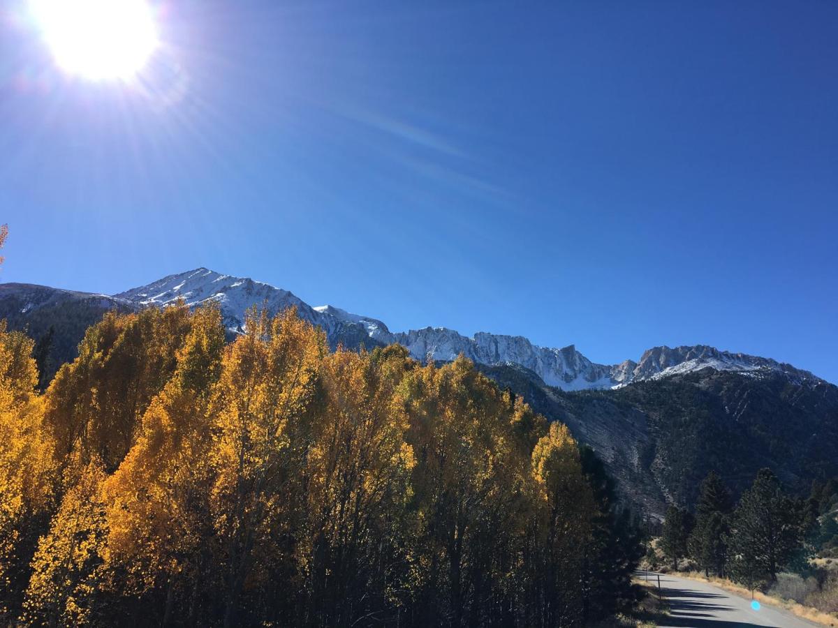 | Lake View Lodge