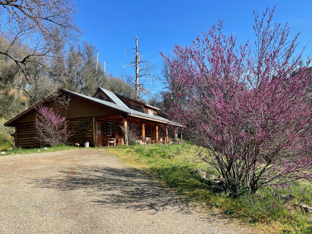 | Bear Creek Cabins