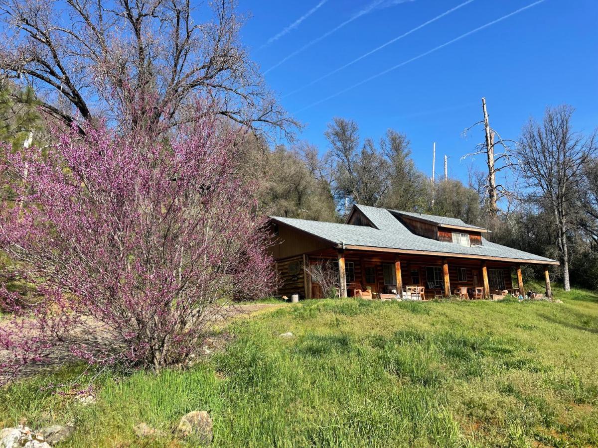 | Bear Creek Cabins