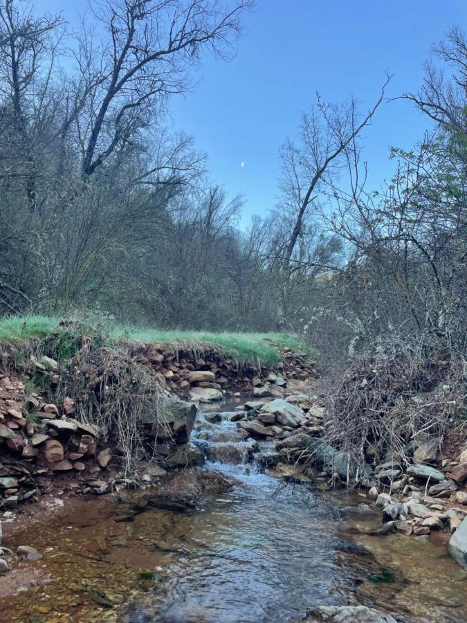  | Bear Creek Cabins