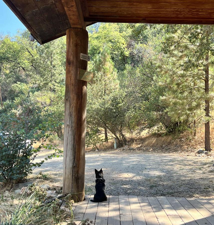 | Bear Creek Cabins