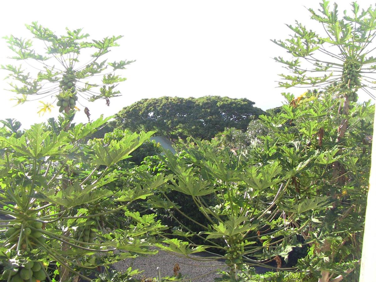 | Simple Kona Guest House