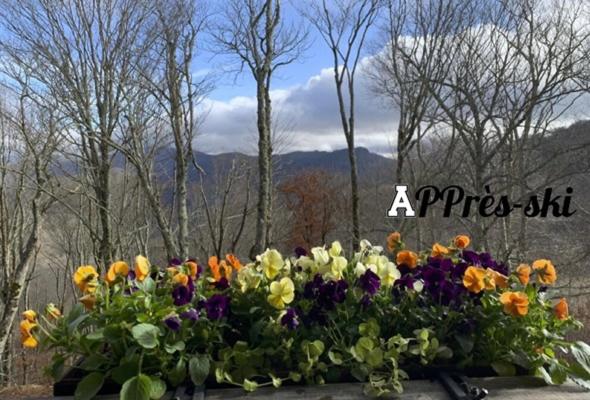  | APPresSki - 5 bed Ski in Ski out - 50 Steps to Ski Sugar Mountain Slopes