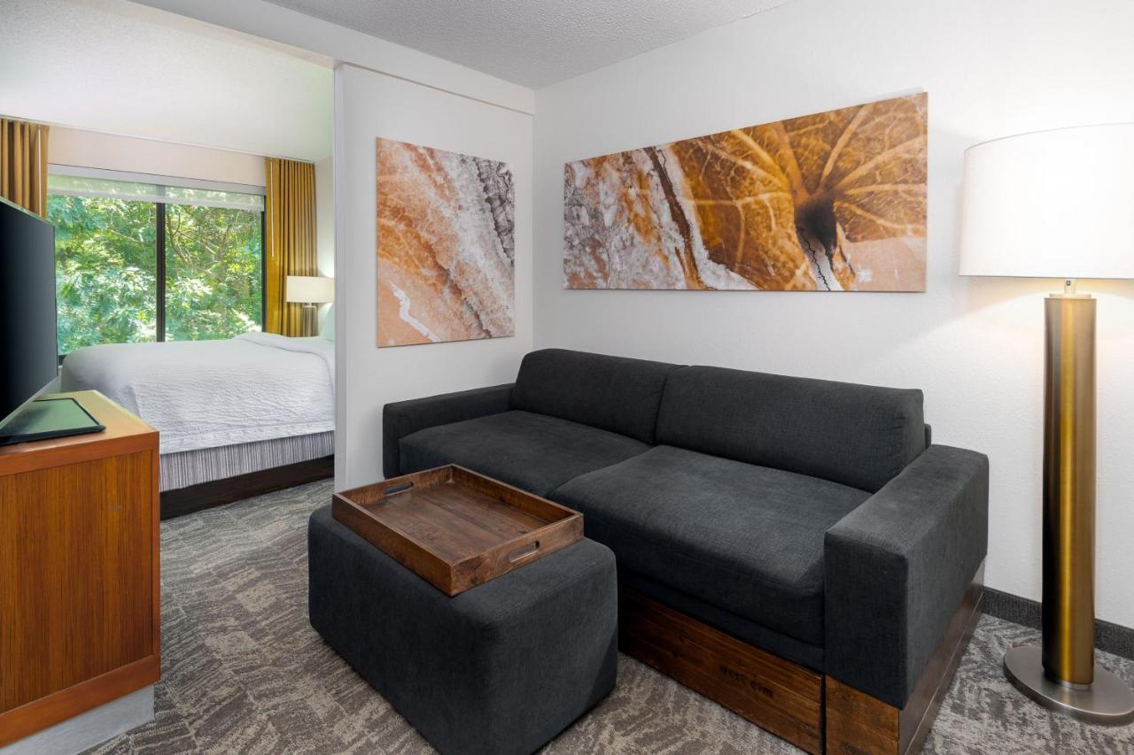 King Suite with Sofa Bed at SpringHill Suites by Marriott Asheville
