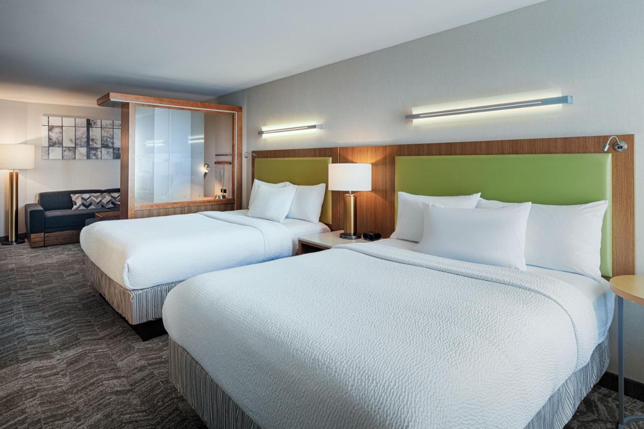 Queen Room with Sofa Bed at SpringHill Suites by Marriott Bloomington