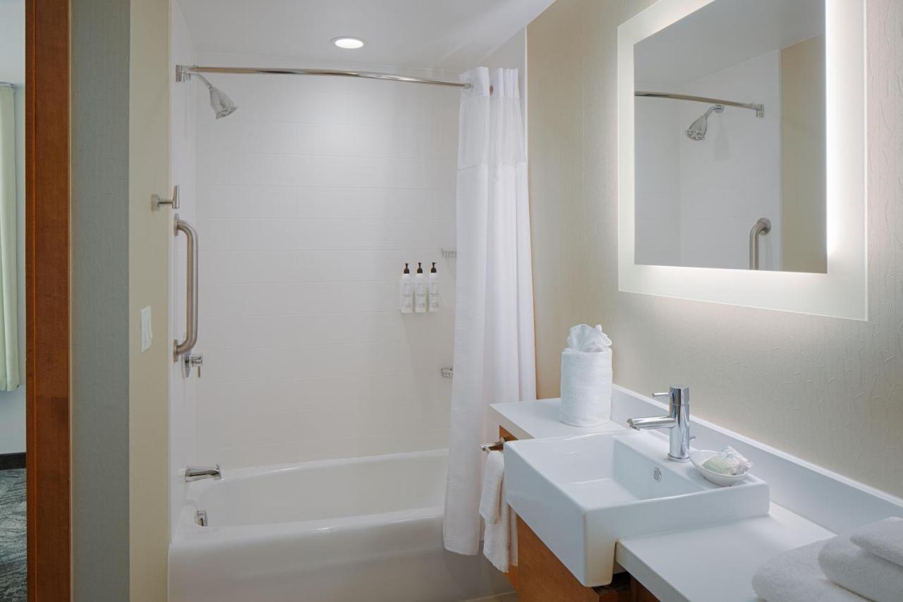 King Room with Sofa Bed at SpringHill Suites by Marriott Bloomington