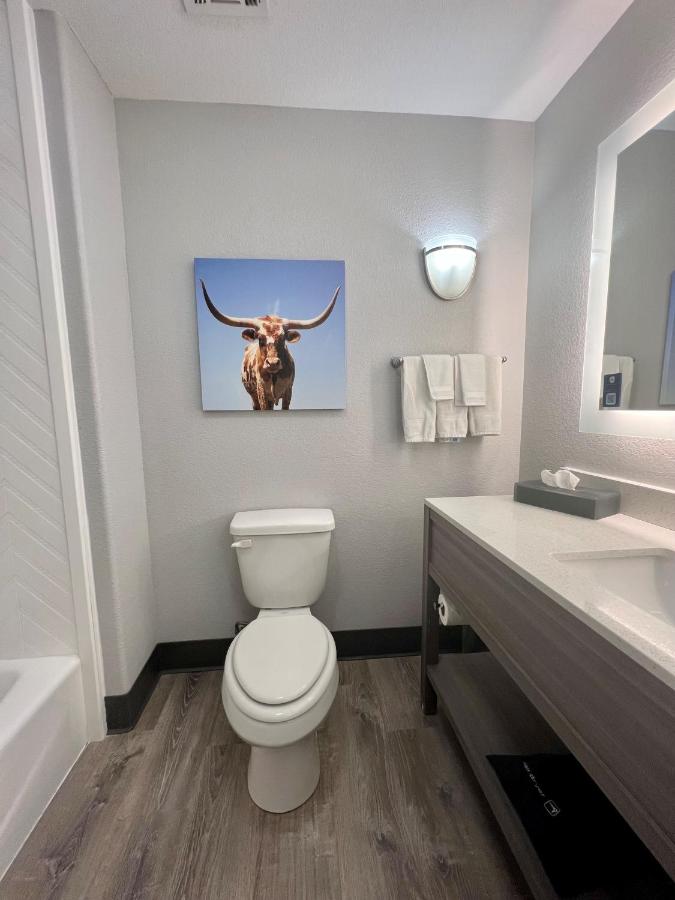King Room with Sofa Bed at La Quinta Inn & Suites by Wyndham Big Spring
