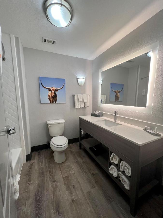 King Room with Sofa Bed at La Quinta Inn & Suites by Wyndham Big Spring