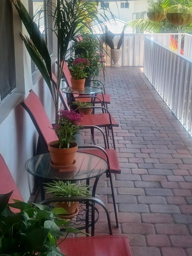 | The Big Coconut Guesthouse - Gay Men's Resort