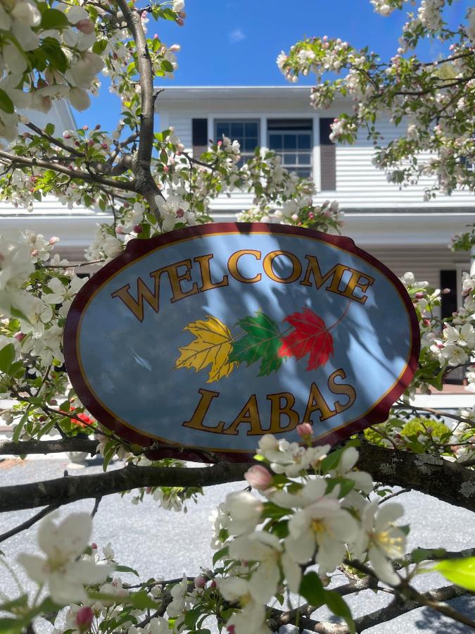 | Williston Village Inn