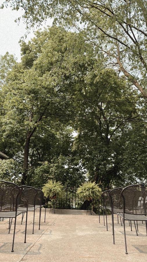  | Ginkgo Tree Inn