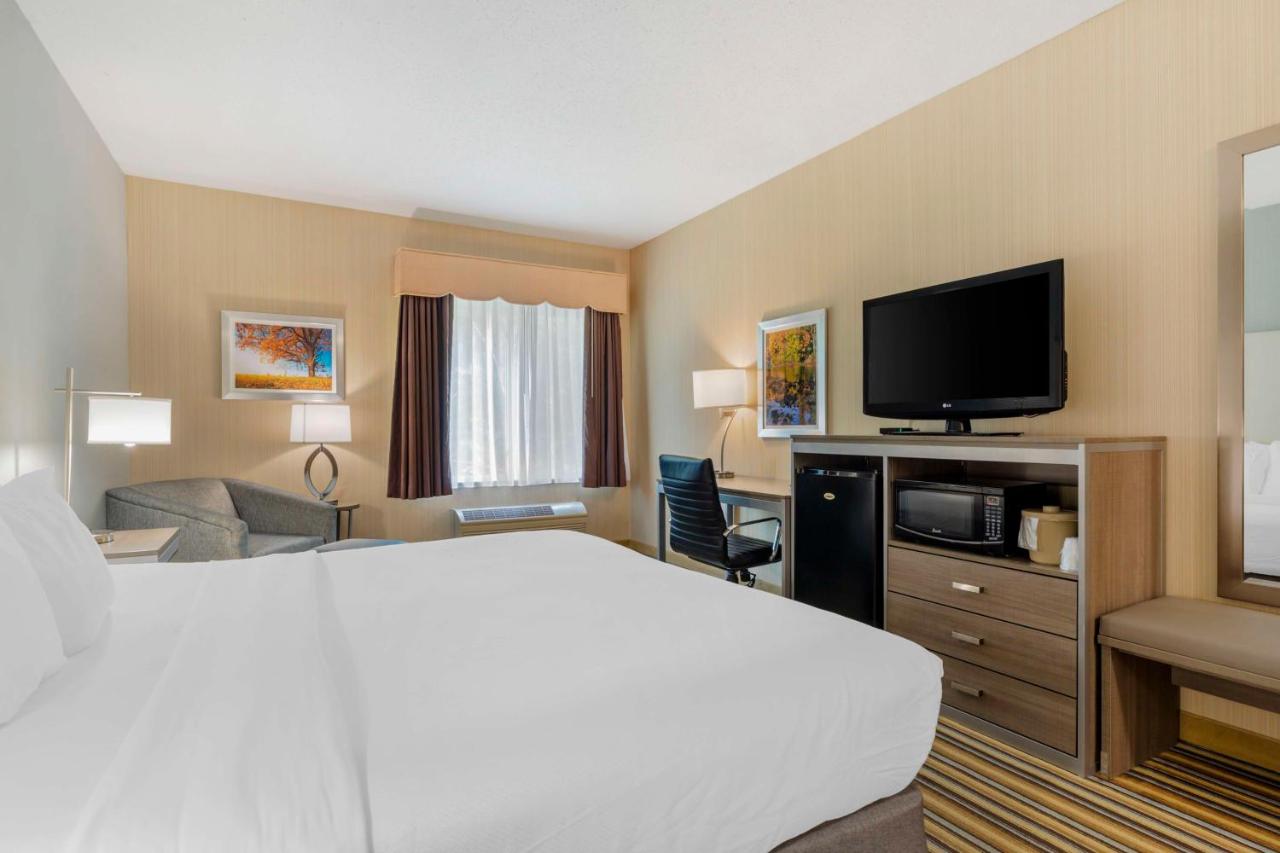 King Room - Non-Smoking at Best Western Plus New England Inn & Suites