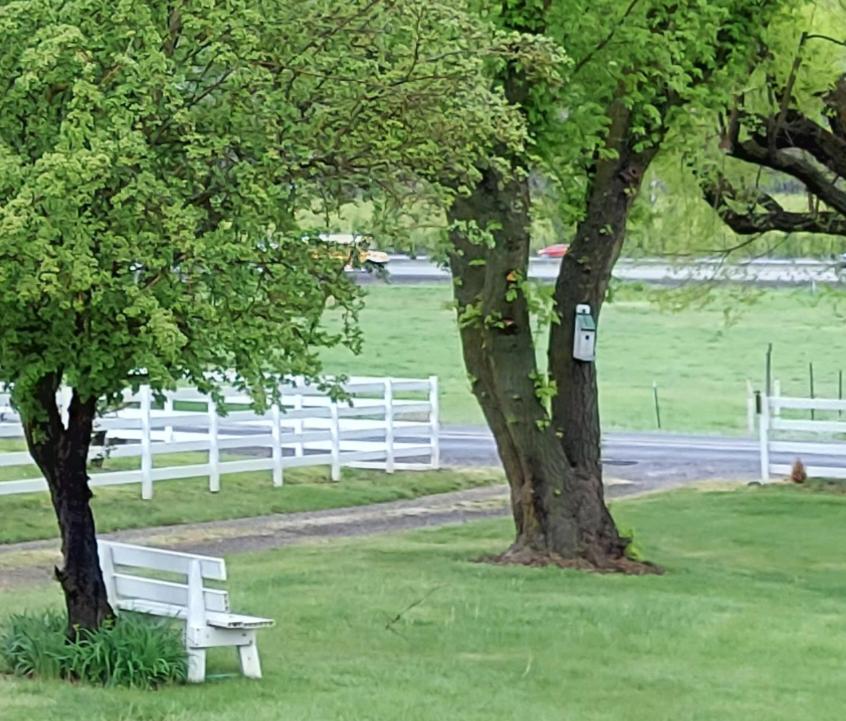  | Applinger Farm