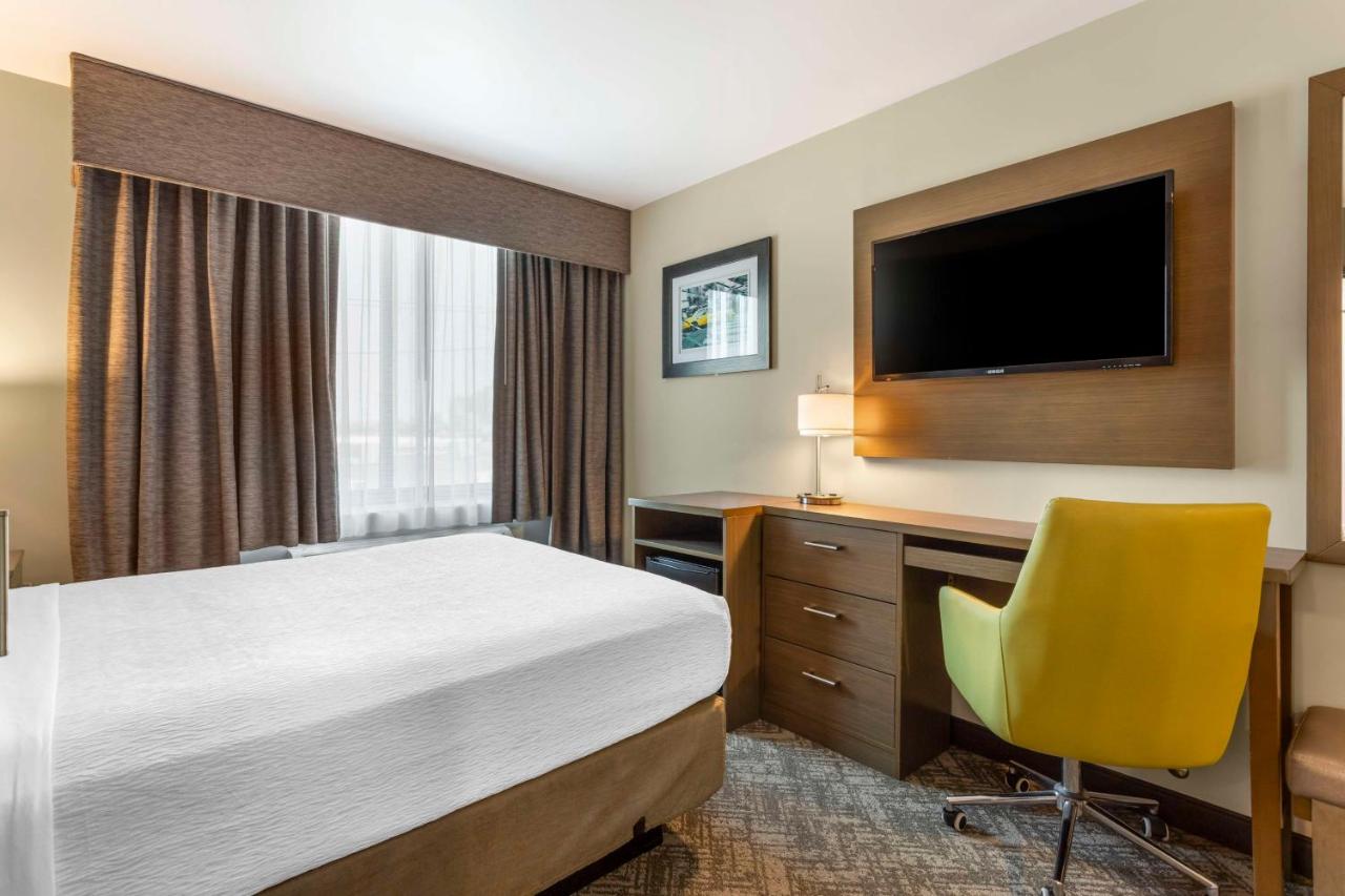 Queen Room at Best Western Brooklyn-Coney Island Inn