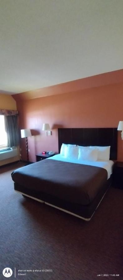 King Room at Shary Inn and Suites