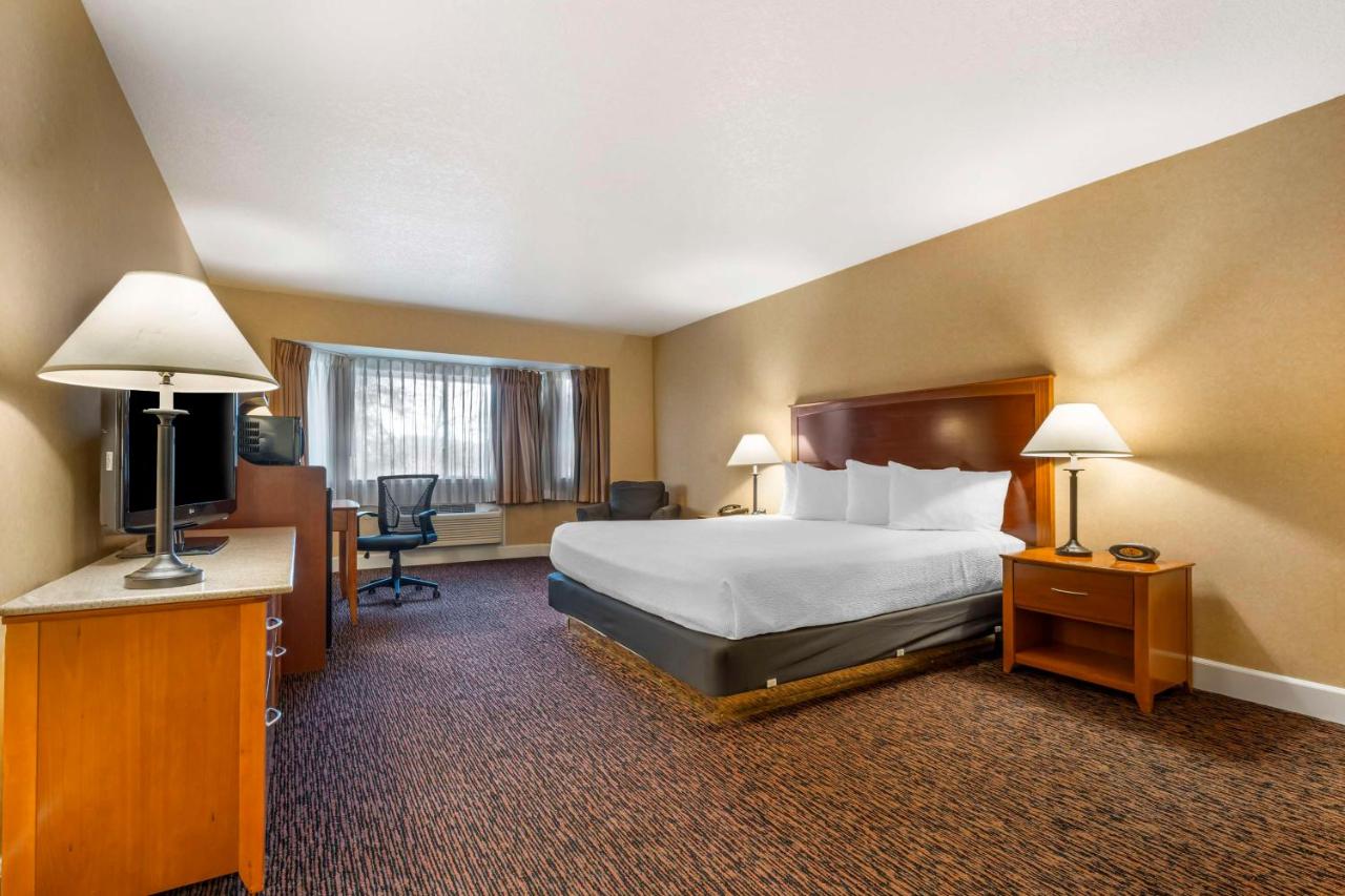 Executive King Room - Non-Smoking at Best Western Plus Placerville Inn