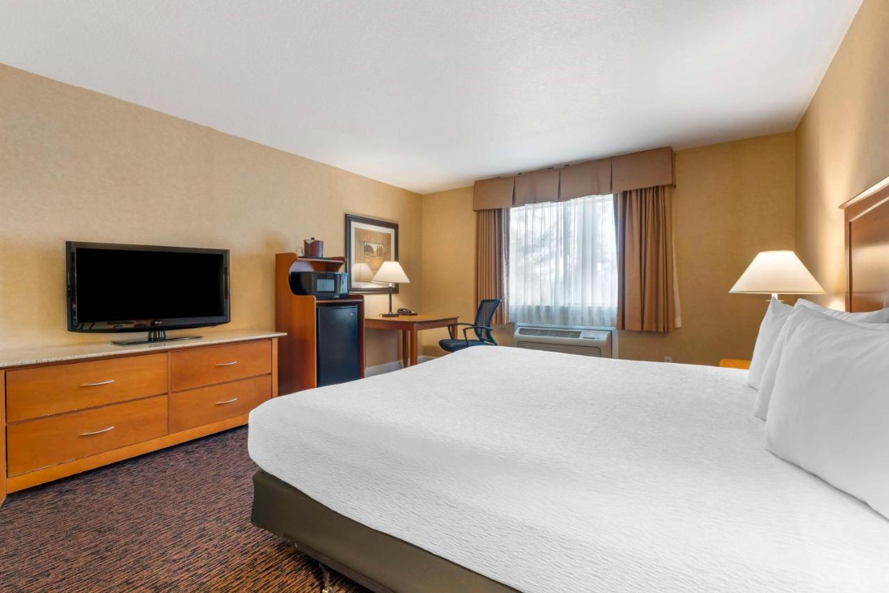King Room - Non-Smoking at Best Western Plus Placerville Inn