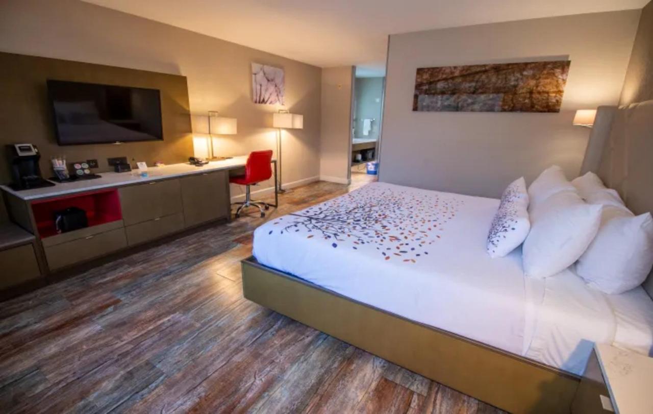 Family Suite at Empeiria High Sierra Hotel