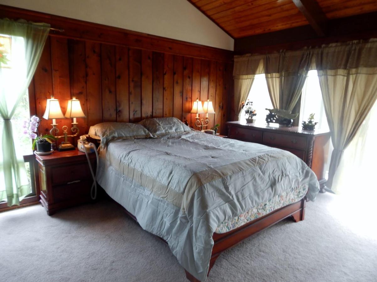 | Fern Forest Getaway