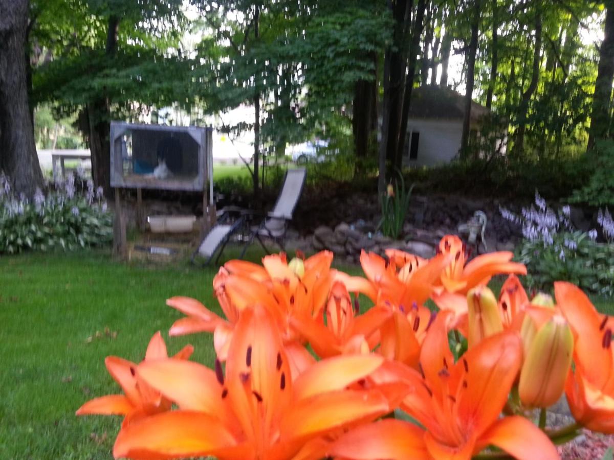 | Kountry Living Bed and Breakfast