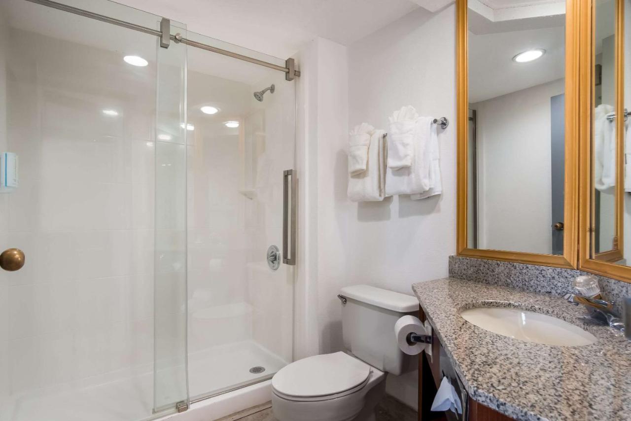 Efficiency King Suite - Non-Smoking at Clarion Inn and Suites Airport