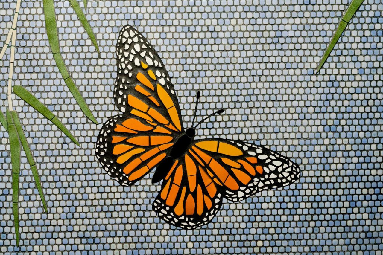 | Pacific Monarch