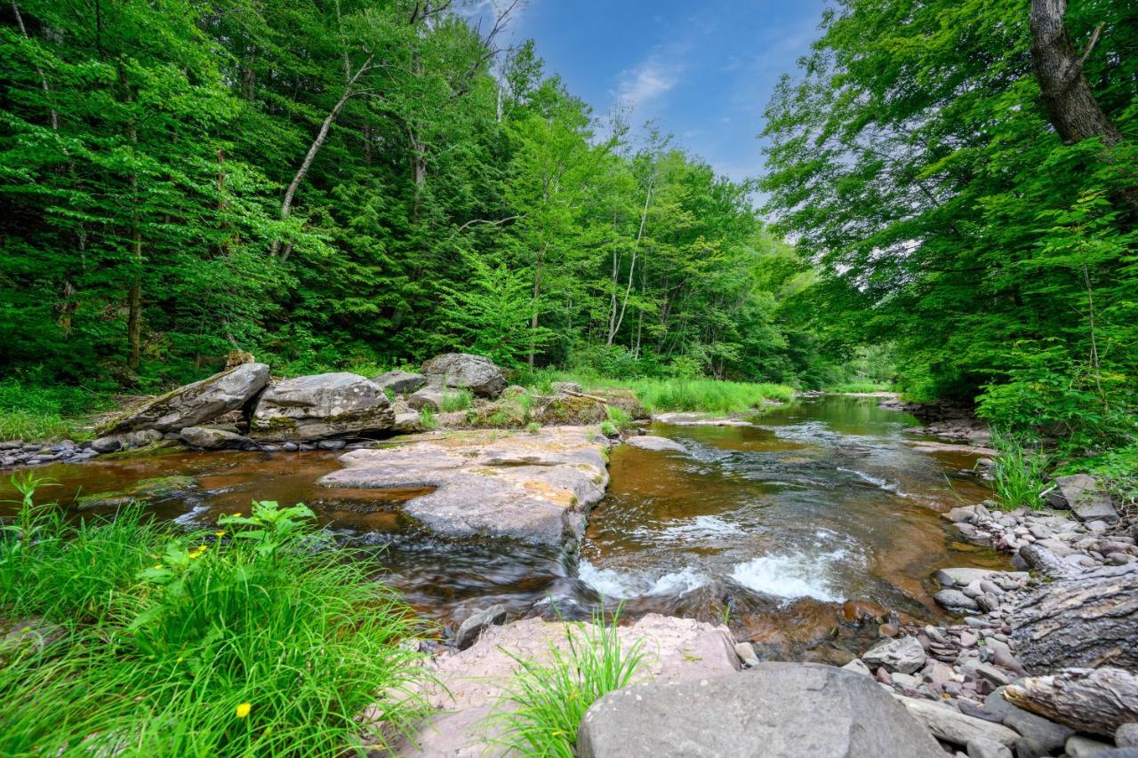 | Mountain Treasure Bed and Breakfast
