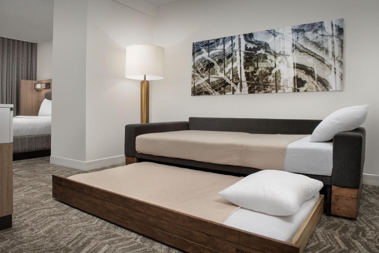 Large King Suite with Sofa Bed at SpringHill Suites by Marriott Atlanta Buford/Mall of Georgia
