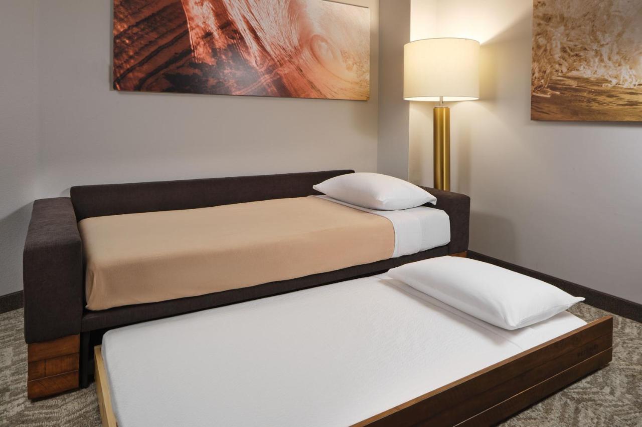 King Suite with Sofa Bed at SpringHill Suites by Marriott Jacksonville Baymeadows