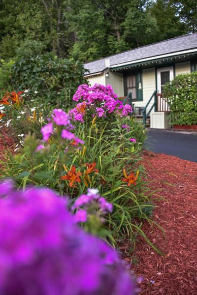 | Adirondack Sunrise Lodge