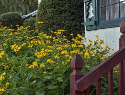 | Adirondack Sunrise Lodge