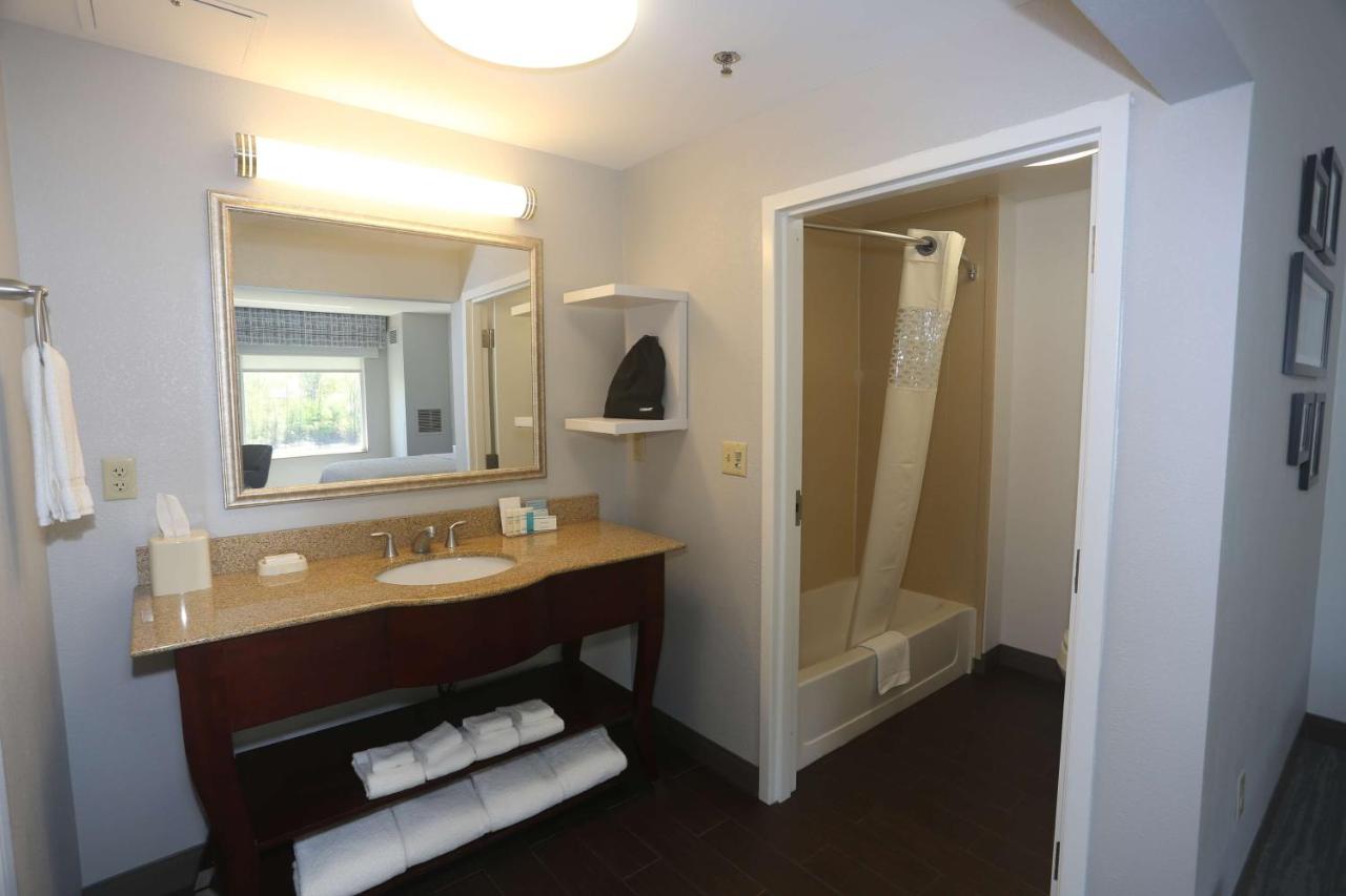 King Studio with Sofa Bed - Non-Smoking at Hampton Inn Owego