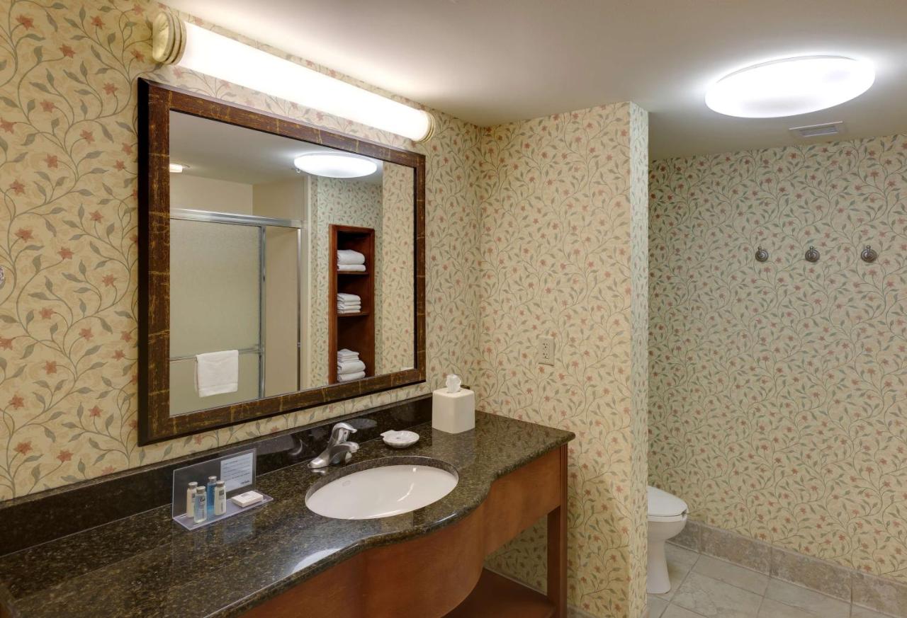 King Studio - Non-Smoking at Hampton Inn & Suites Columbus Polaris