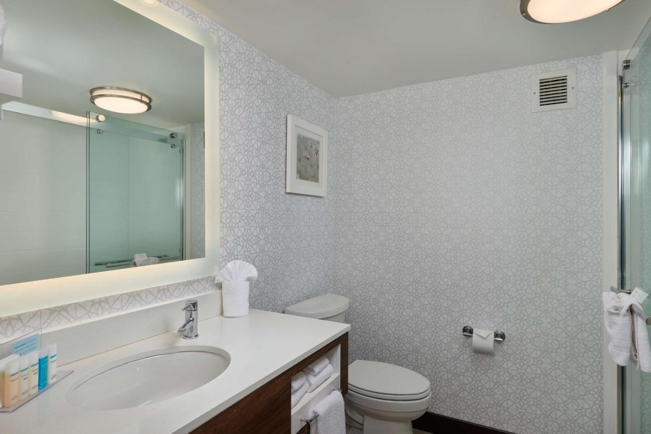 King Study with Sofa Bed - Non-Smoking at Hampton Inn Fairfax City