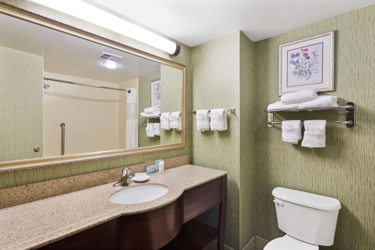 King Study Room - Non-Smoking at Hampton Inn Hinesville