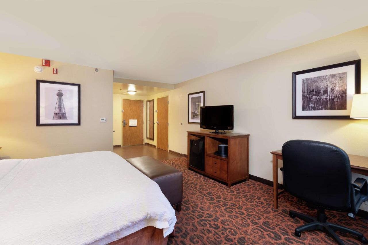 King Room - Disability Access/Non-Smoking at Hampton Inn Houma
