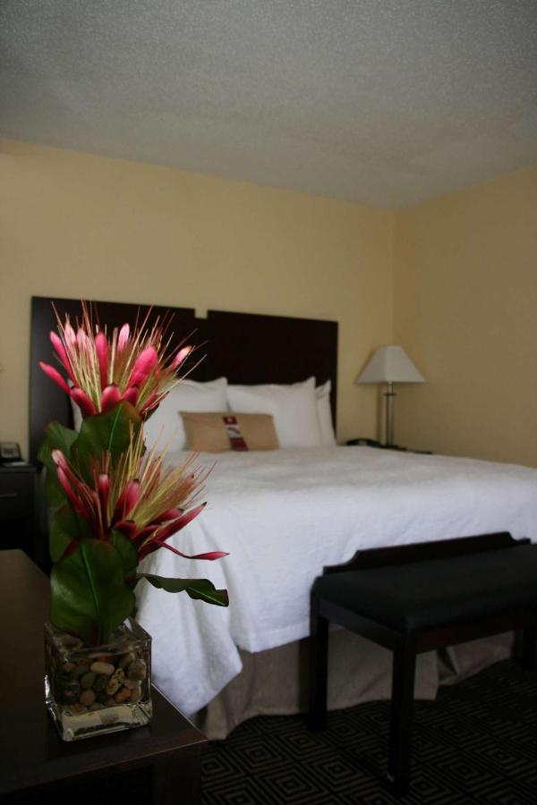 King Room - Non-Smoking at Hampton Inn & Suites Orlando-John Young Pkwy/S. Park