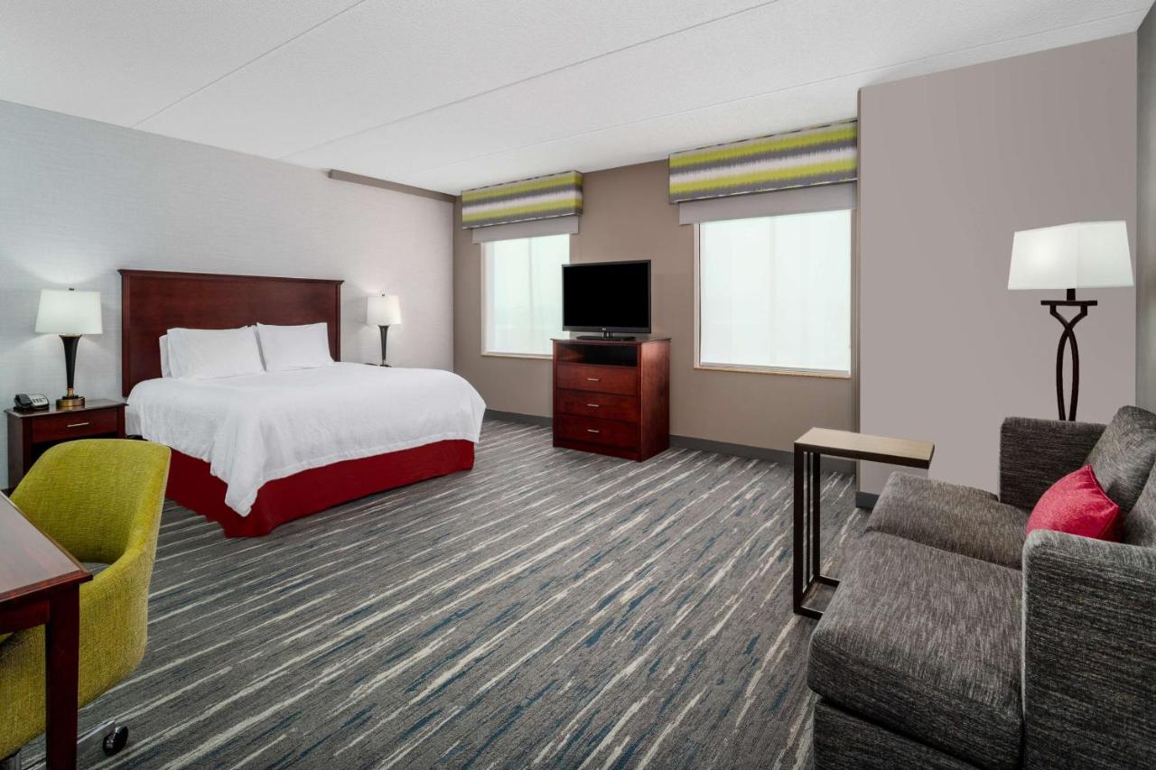 King Studio with Sofa Bed - Hearing Accessible at Hampton Inn Suites Minneapolis St Paul Arpt-Mall of America