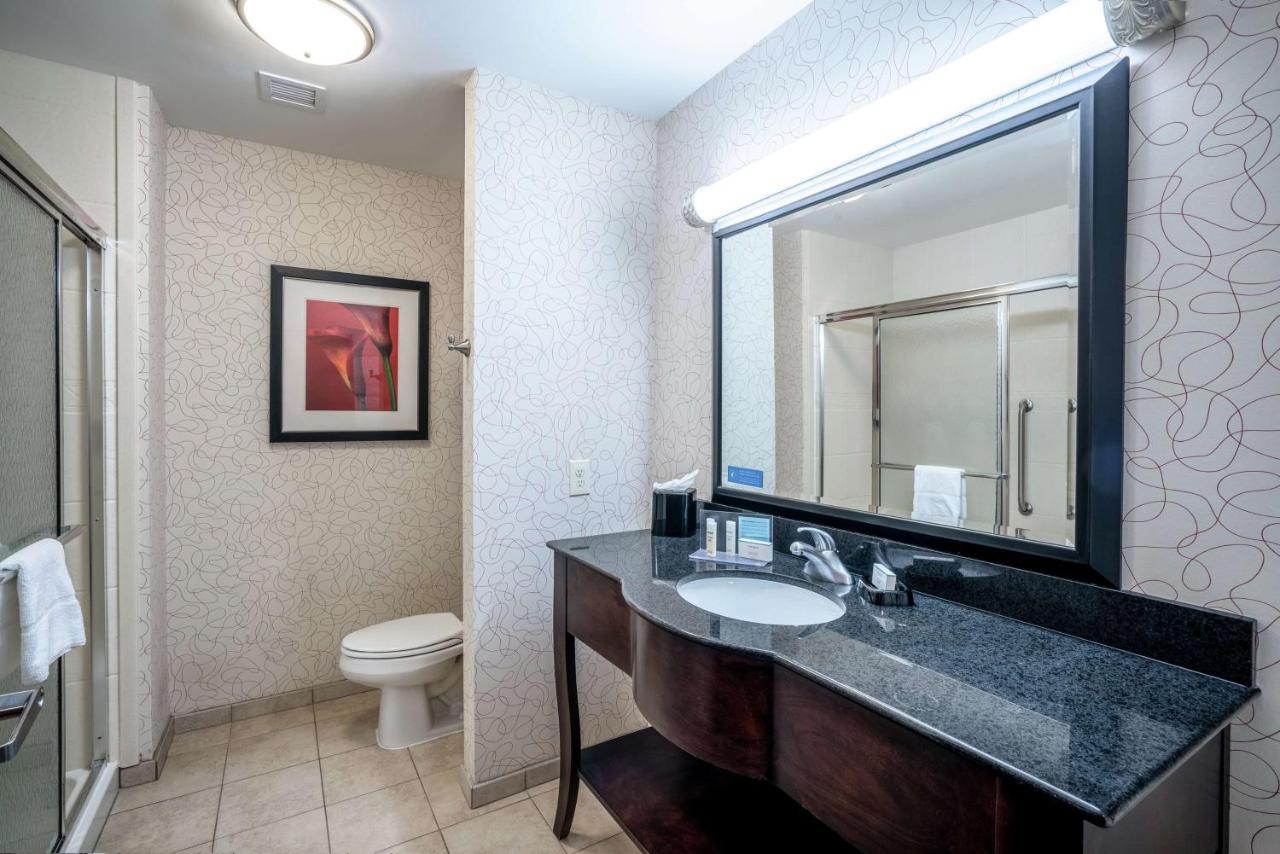 King Room - Non-Smoking at Hampton Inn Richmond Airport