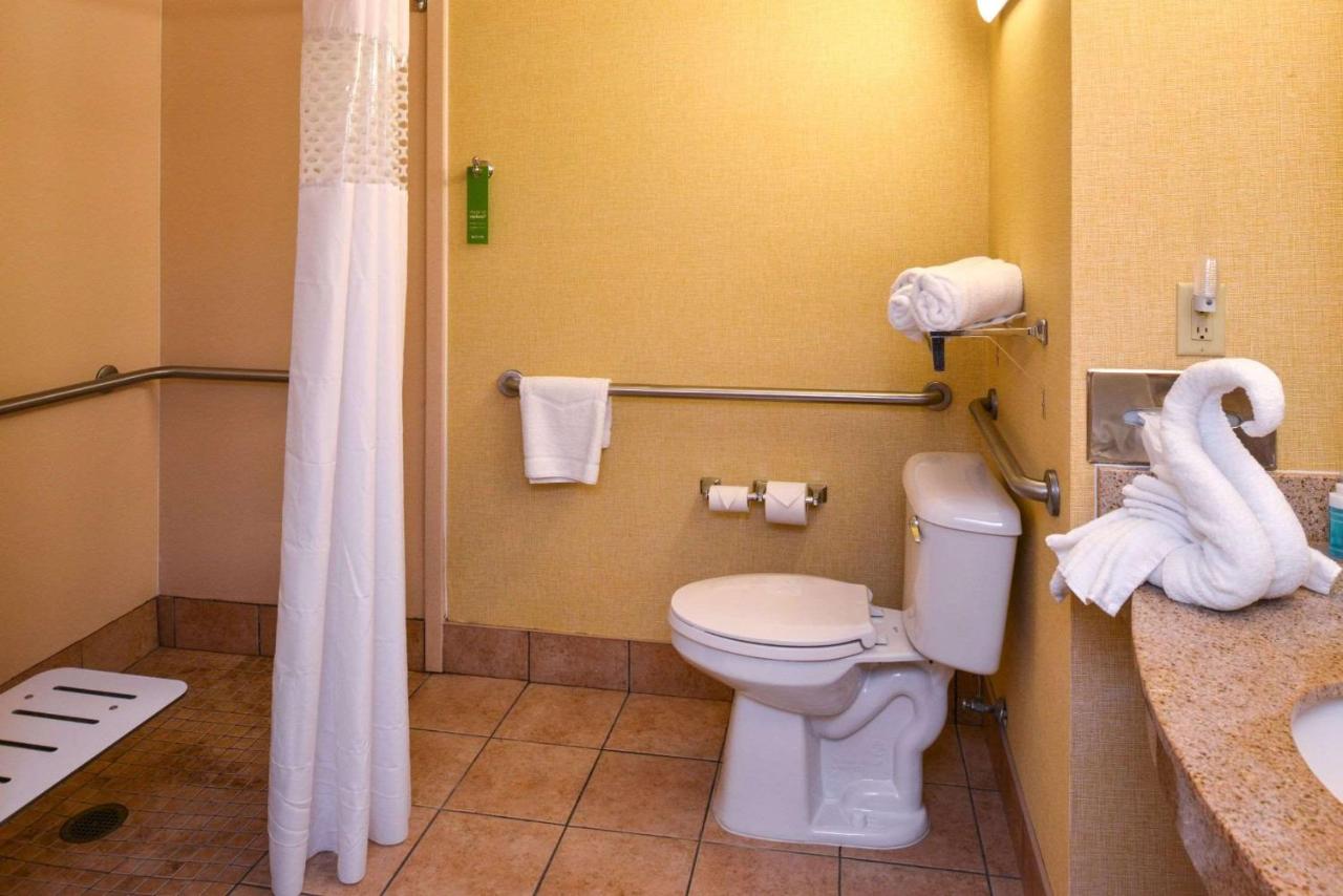 King Room - Disability Access/Roll-in Shower at Hampton Inn & Suites Springboro/Dayton Area South