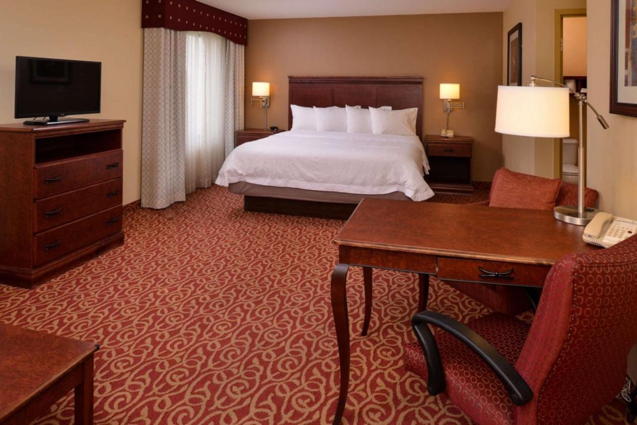 King Studio with Sofa Bed - Non-Smoking at Hampton Inn by Hilton Lincoln