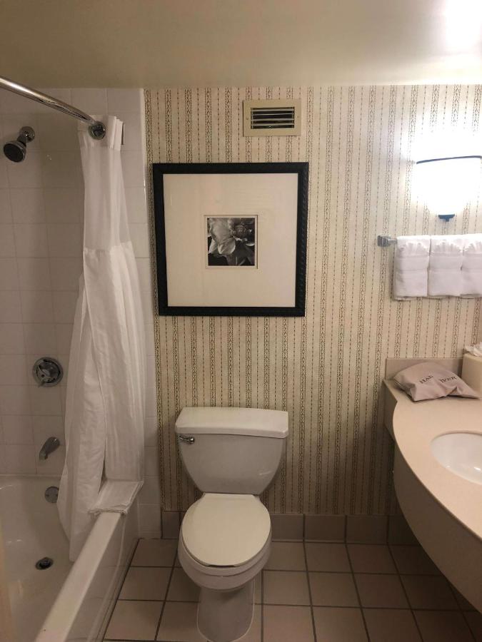 King Room at Hilton Garden Inn Addison