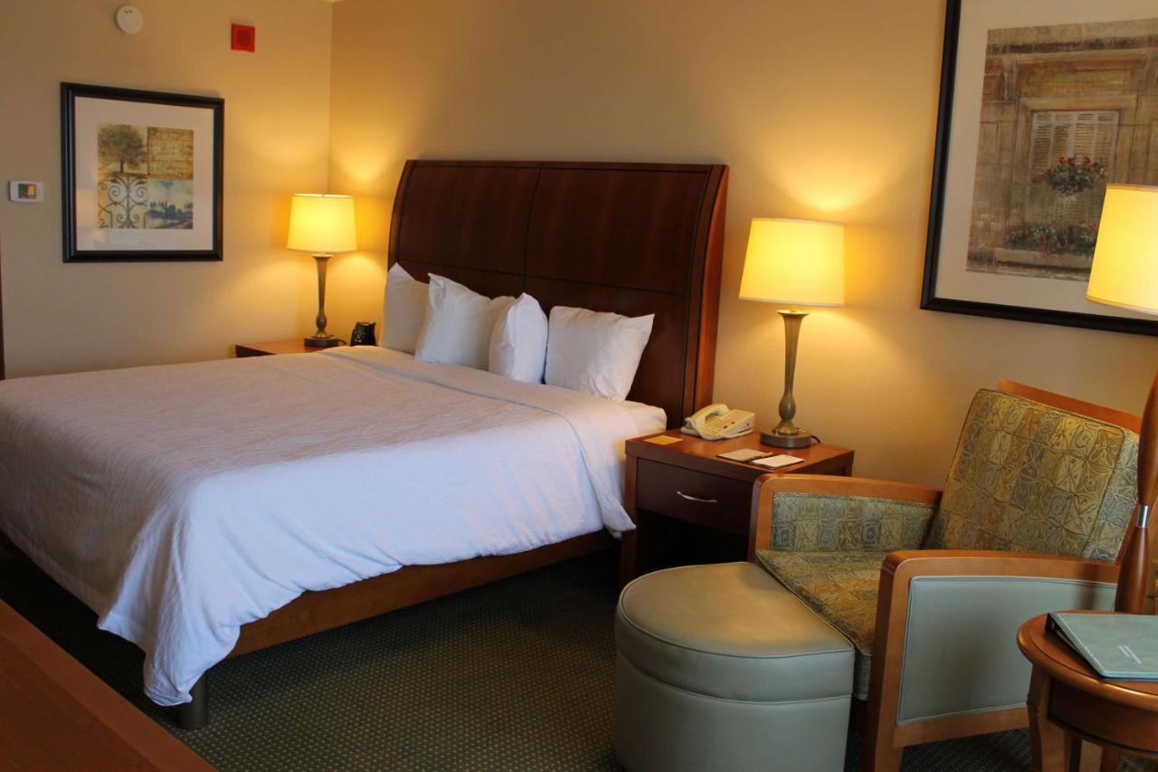 Deluxe King Room at Hilton Garden Inn Addison
