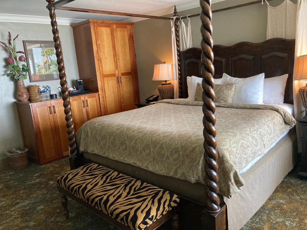 King Room with Ocean View at Blue Dolphin Inn